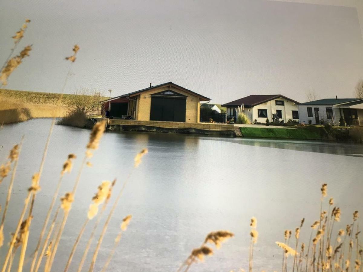 Villa De Kreek - De Krabbenkreek à Sint-Annaland Extérieur photo